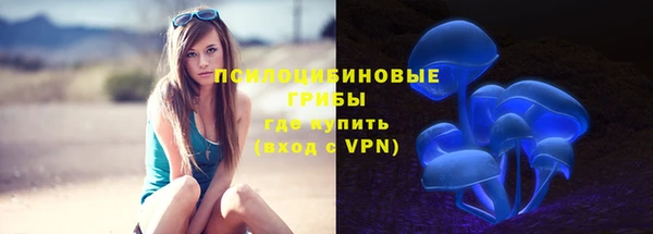 бошки Покачи
