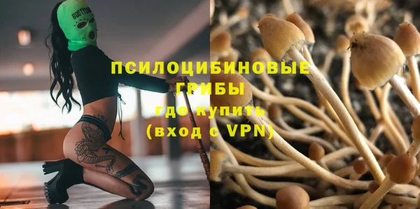 прущий лед Алексин