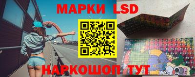крисы Кудрово