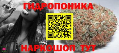крисы Кудрово