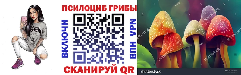 что такое наркотик  Евпатория  Псилоцибиновые грибы Cubensis 