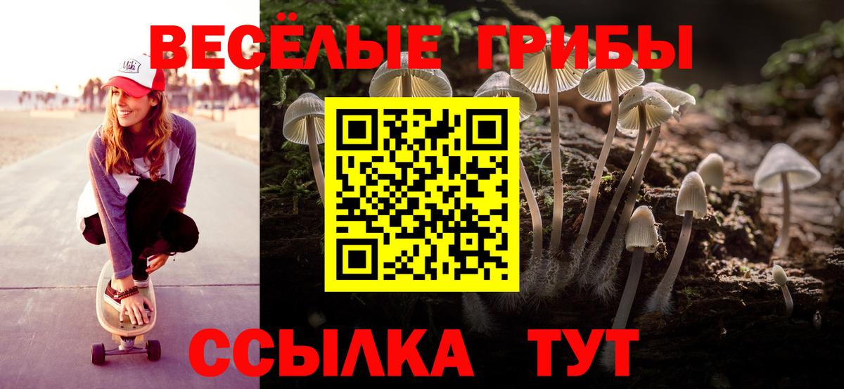 Галлюциногенные грибы Magic Shrooms Евпатория